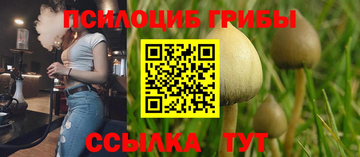Псилоцибиновые грибы мицелий Мытищи